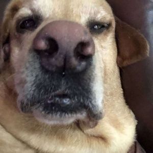 Meet your Posher, Ben